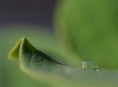 /album/fotogaleria/a373714-jpg/